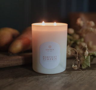 Harvest Pumpkin Boxed Candle - dolly mama boutique