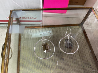 Hoop Crystal Drop 0663