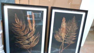 Fern Framed Prints 27.5"