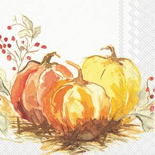 Painted Pumpkin Cocktail Napkins