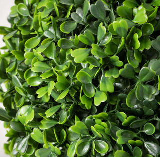Foliage ORB 02654ORB - dolly mama boutique