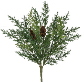 Arborvitae Pick - dolly mama boutique