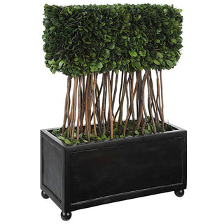 Boxwood Rectangular Topiary - dolly mama boutique