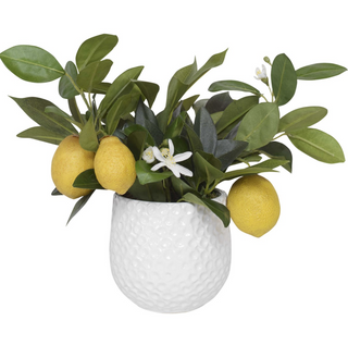 Positano Lemon Accent 60190