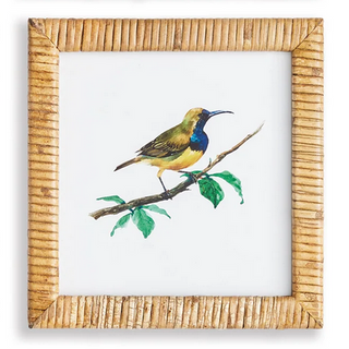 Songbird Petite Prints