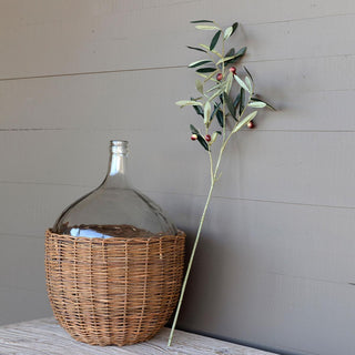 Tuscan olive stem