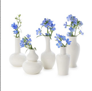 Assorted Shape White Vases