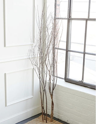 Birch Branch - dolly mama boutique