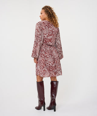 Faux Wrap Paisley Dress in Paisley Print - view 4