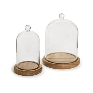Cloche with Wooden Base