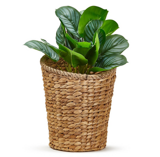 Hanging Storage Planter Basket 54108 - dolly mama boutique